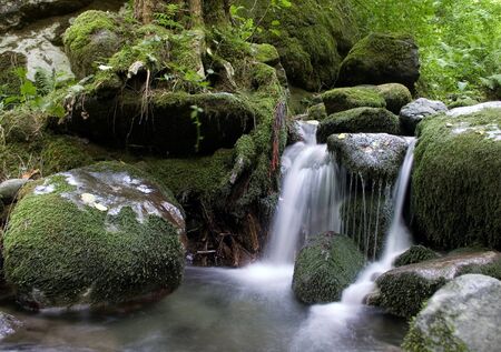 Forest waterfall and stones overgrown with moss.の写真素材