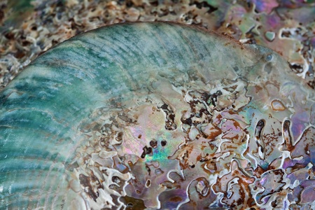 Abstract multicolored nacre background.の写真素材