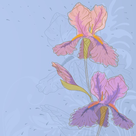Hand drawn iris with fantasy flowers and plants.のイラスト素材