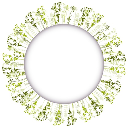Vecter floral round frame with place for text のイラスト素材