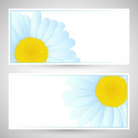 illustration with daisies for greeting or invitation card.のイラスト素材