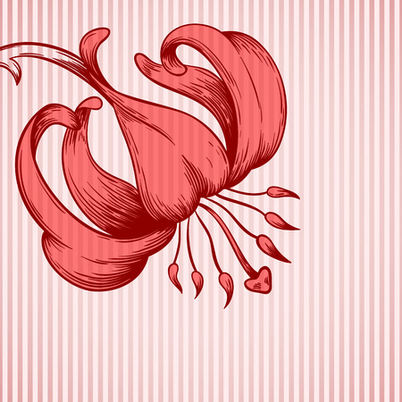 Vector greeting or invitation card with lily and place for text.のイラスト素材