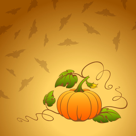 Vector orange pumpkin on background with bats.のイラスト素材