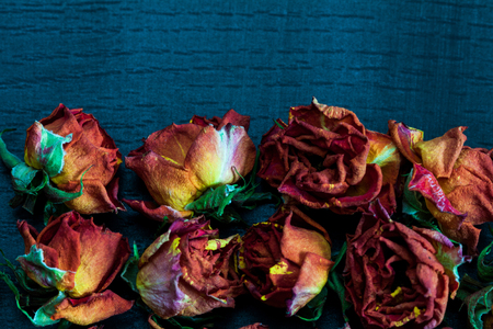 Beautiful natural background with dried red roses on dark.の写真素材