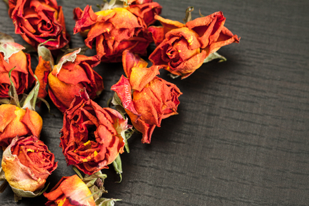 Beautiful natural background with dried red roses on dark.の写真素材