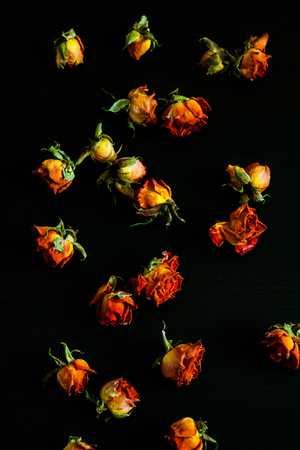 Beautiful natural background with dried red roses on dark.の写真素材