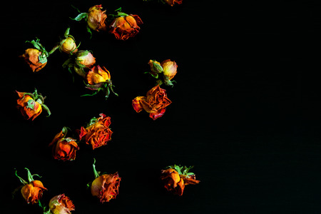 Beautiful natural background with dried red roses on dark.の写真素材