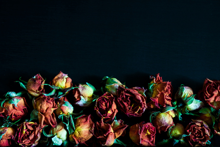 Beautiful natural background with dried red roses on dark.の写真素材