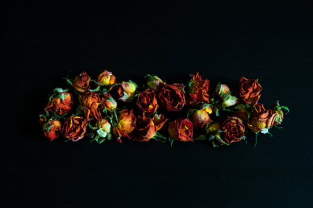 Background with dried red roses on dark.の写真素材