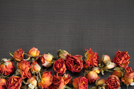 Beautiful natural background with dried red roses on dark.の写真素材
