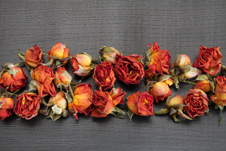 Beautiful natural background with dried red roses on dark.の写真素材