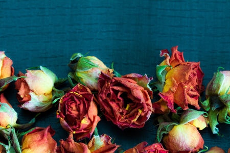 Beautiful natural background with dried red roses on dark.の写真素材