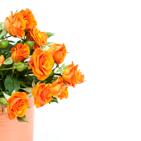 Bouquet of beautiful orange roses isolated on white.の写真素材
