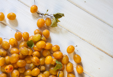 Yellow plums on a white wood background. Space for text.の写真素材