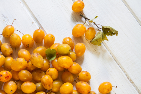 Yellow plums on a white wood background.の写真素材