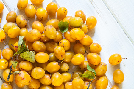 Yellow plums on a white wood background.の写真素材