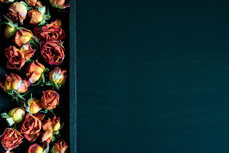Beautiful natural background with dried red roses on dark.の写真素材