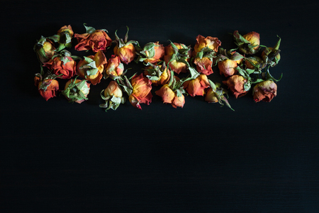 Beautiful natural background with dried red roses on dark.の写真素材