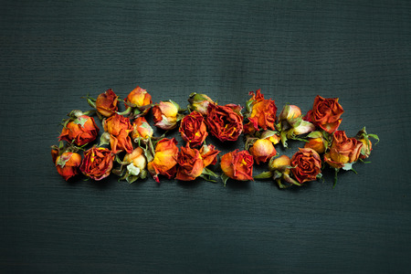 Beautiful natural background with dried red roses on dark.の写真素材
