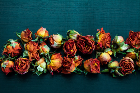 Beautiful natural background with dried red roses on dark.の写真素材