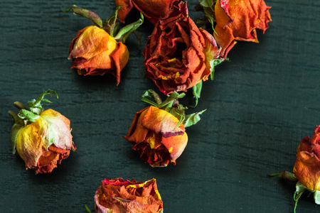 Beautiful natural background with dried red roses on dark.の写真素材