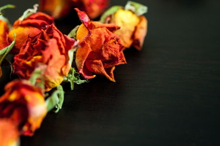 Beautiful natural background with dried red roses on dark.の写真素材