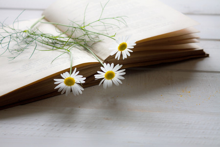 Vintage novel books with bouquet of flowers on white wooden table - concept of nostalgic and remembrance.の写真素材
