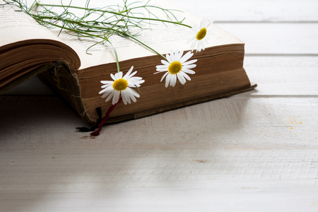 Vintage novel books with bouquet of flowers on white wooden table - concept of nostalgic and remembrance.の写真素材