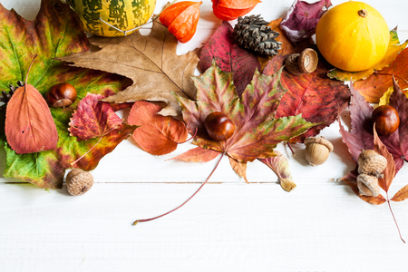 Autumn leaves and fruits on a white wooden table with space for text.の写真素材