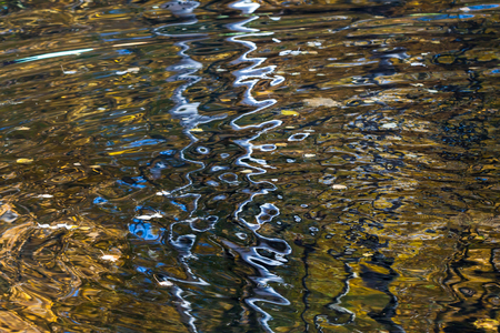 Colorful reflection in autumn pond in the park.の写真素材