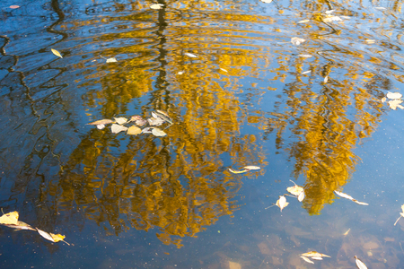 Colorful reflection in autumn pond in the park.の写真素材