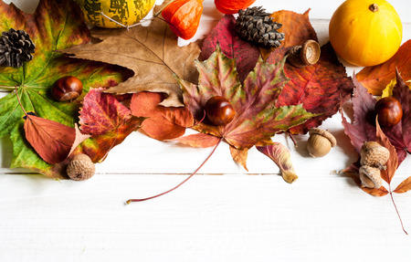 Autumn leaves and fruits on a white wooden table with space for text.の写真素材