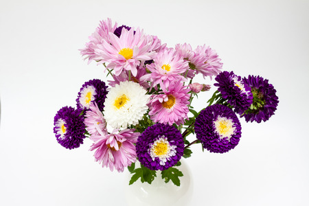 Bouquet of aster flowers on a white  with space for text.の写真素材