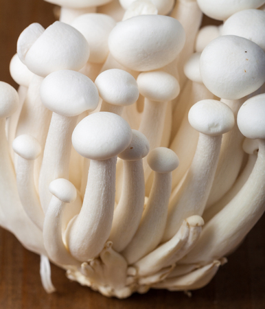 White beech mushrooms or Shimeji mushroom closeup.の写真素材