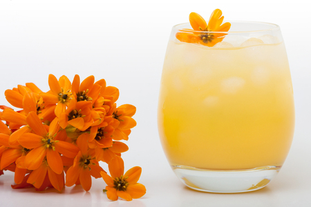 Glass of juice with ice on a white background.の写真素材