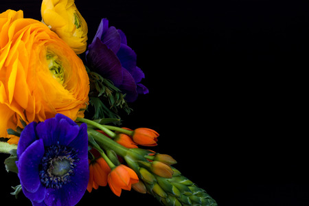 Bouquet of orange ornithogalum, ranunculus, anemone flowers on dark background.の写真素材