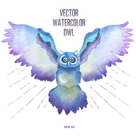 Vector watercolor owl illustration. T-shirt fresh design.のイラスト素材