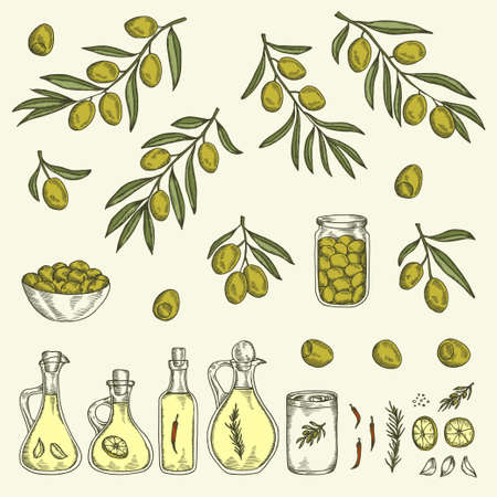 Hand drawn olive graphic set. Collection of olive branches, oil bottles, jars and other design elements. Vector ink drawn illustration.のイラスト素材