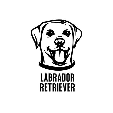 Labrador retriever head drawing. Vector illustration.のイラスト素材