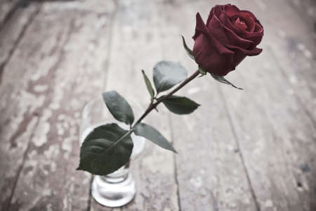 vintage rose valentineの写真素材