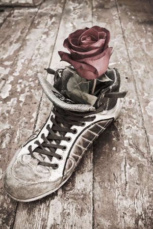 vintage rose in shoeの写真素材
