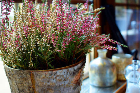 Heather interior decorationの写真素材