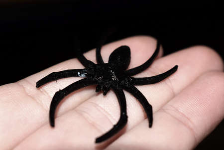 3D printed spider on hand