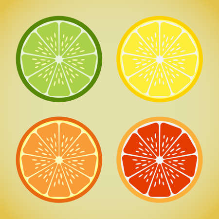 Four slices of citrus, lime, orange, lemon, grapefruitのイラスト素材