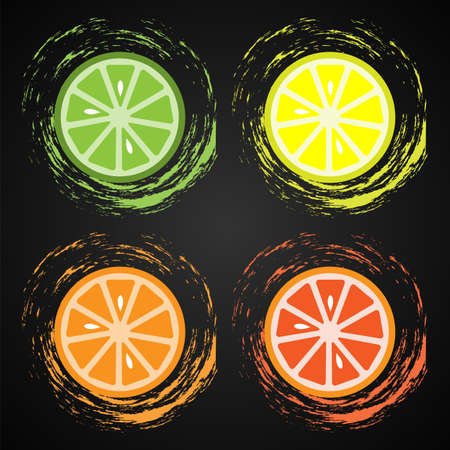 Slices of citrus fruits: lime, lemon, orange and grapefruitのイラスト素材