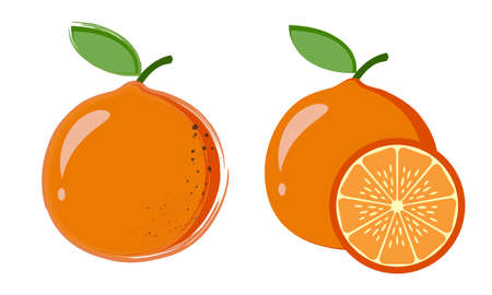Two original drawing with a slice of orangeのイラスト素材