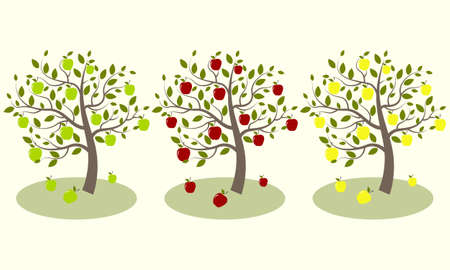 Three apple tree with yellow, green and red applesのイラスト素材