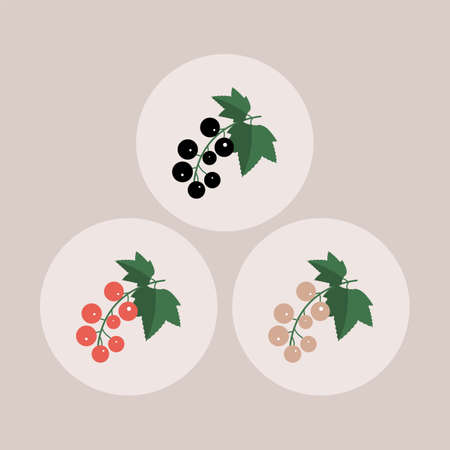 Red, black and white currants Icons
