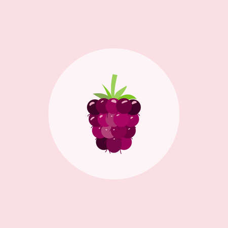 Single image of a fruit