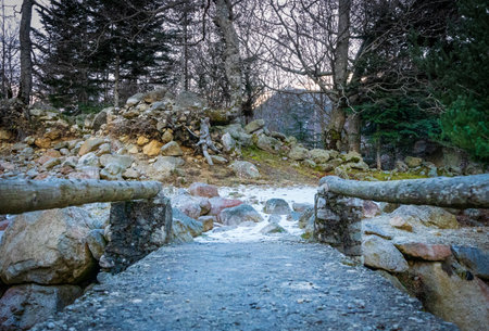Stone path in the forest in winter with snow in the background.の写真素材